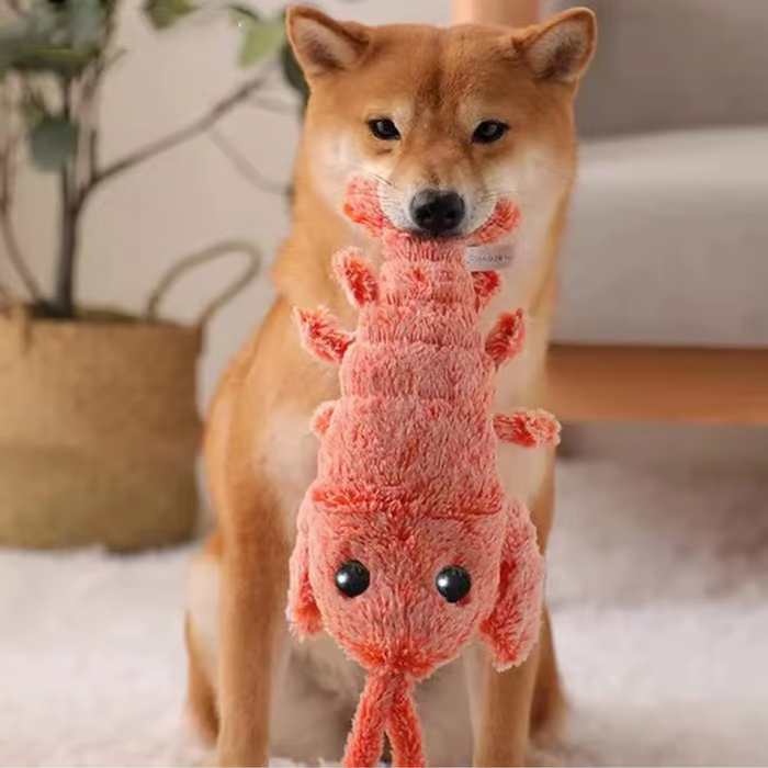 Floppy Lobster Interactive Dog And Cat Toy