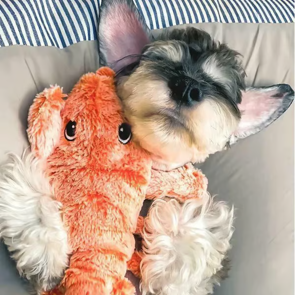 Floppy Lobster Interactive Dog And Cat Toy