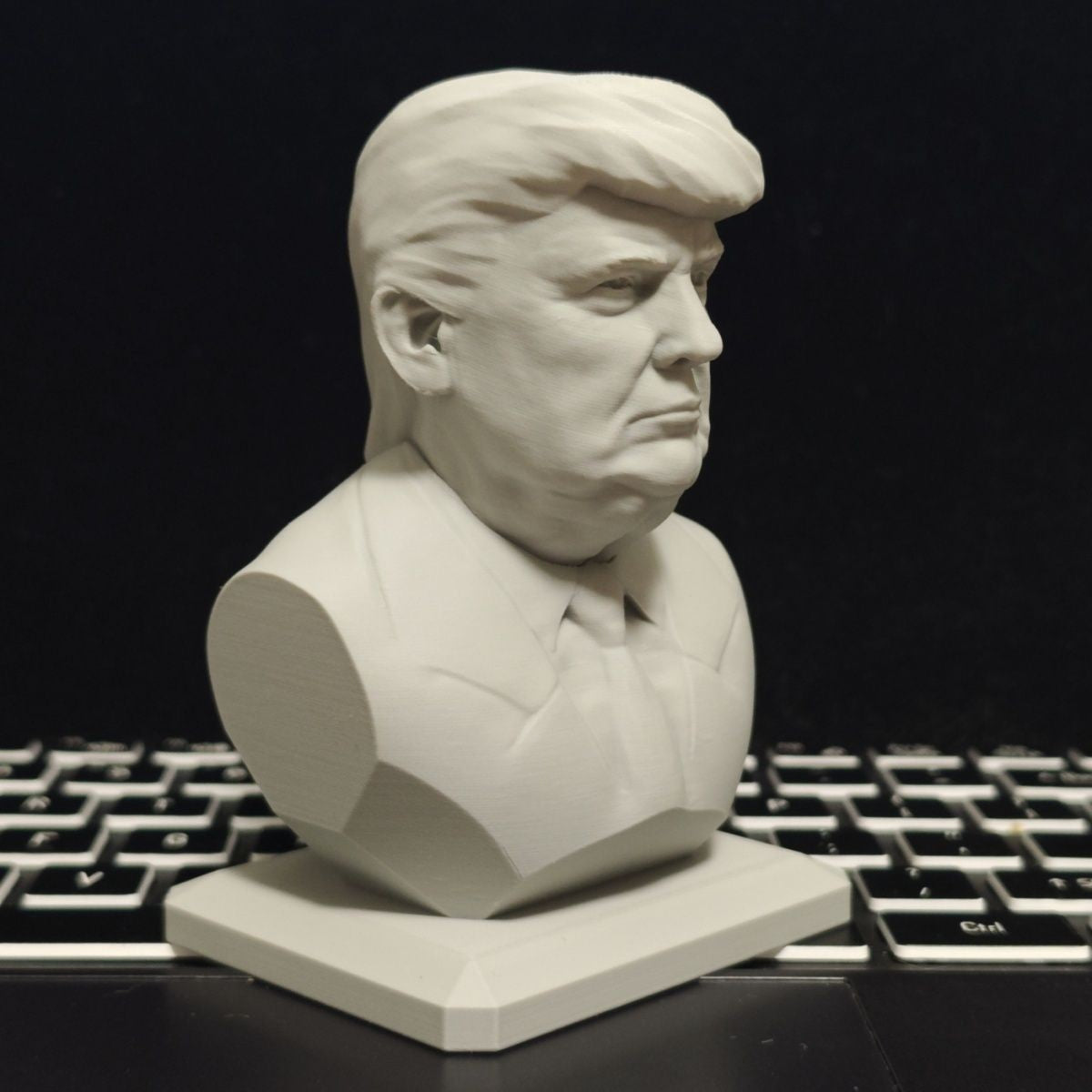 3D Printing 2025 USA President Model statues and artefacts