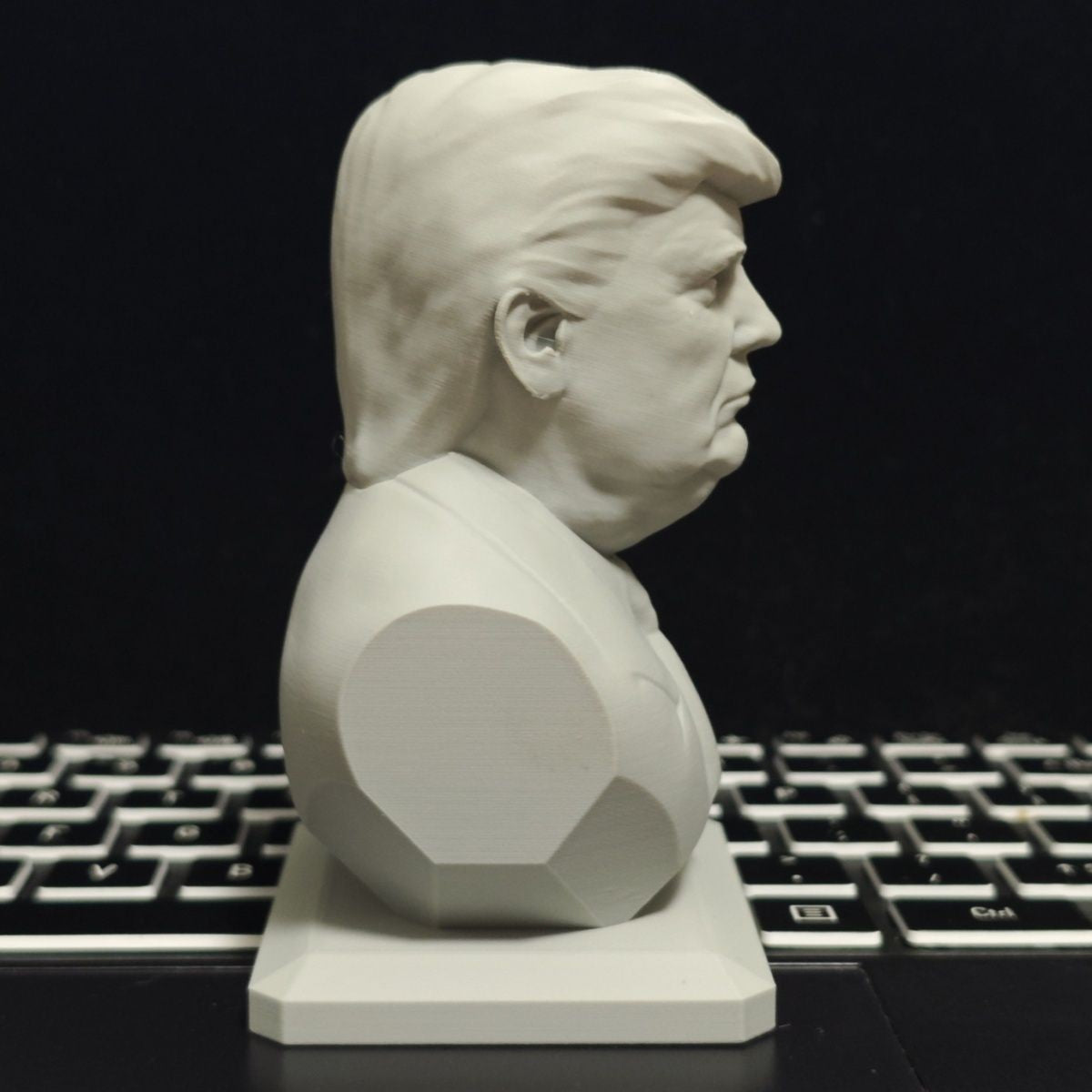 3D Printing 2025 USA President Model statues and artefacts