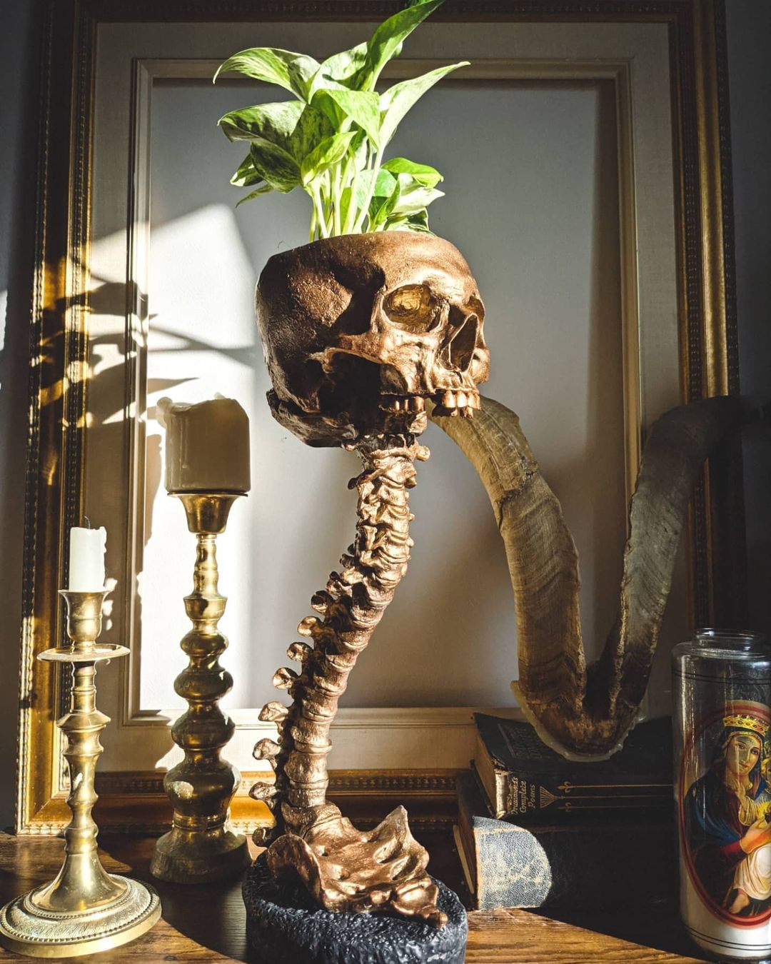 Skull Planter & Spine Stand Sets Quirky Desktop Resin Ornament