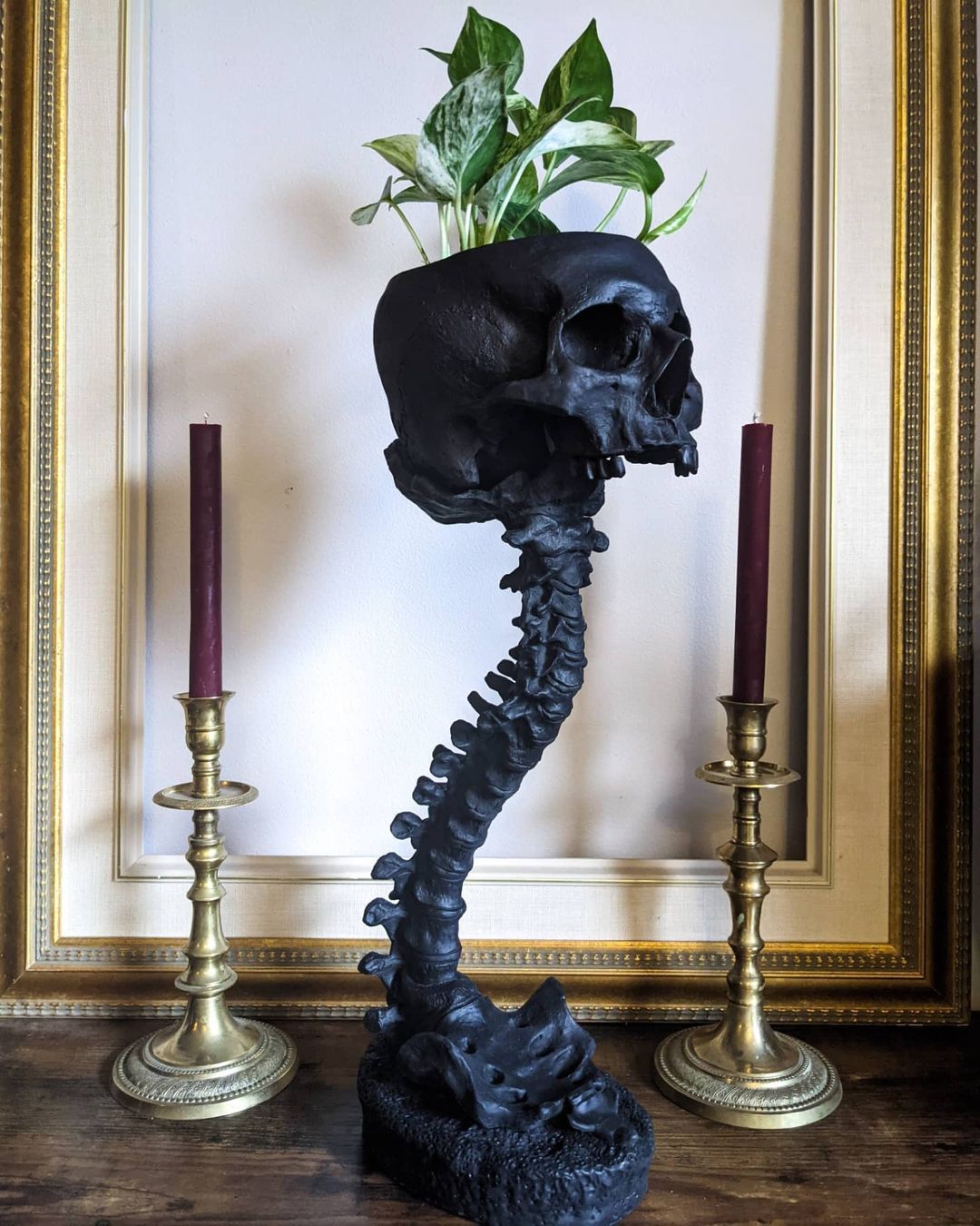 Skull Planter & Spine Stand Sets Quirky Desktop Resin Ornament