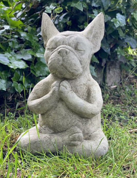 Meditating Dog Meditating Frog Meditation Garden Statue