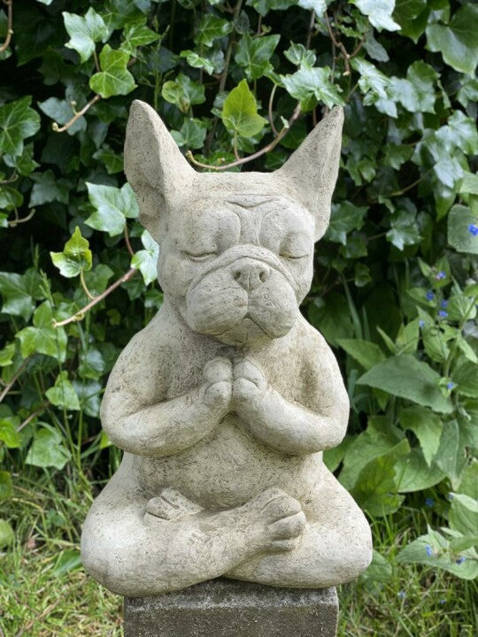 Meditating Dog Meditating Frog Meditation Garden Statue