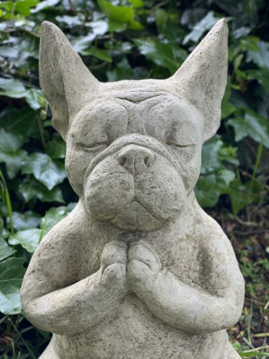 Meditating Dog Meditating Frog Meditation Garden Statue