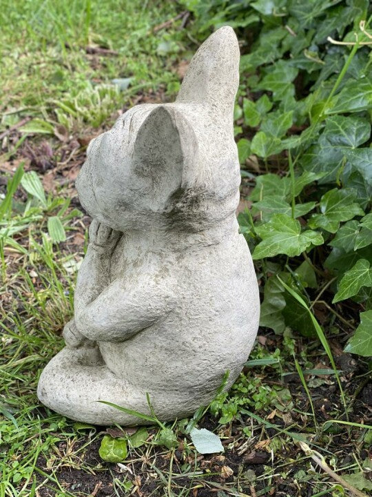 Meditating Dog Meditating Frog Meditation Garden Statue